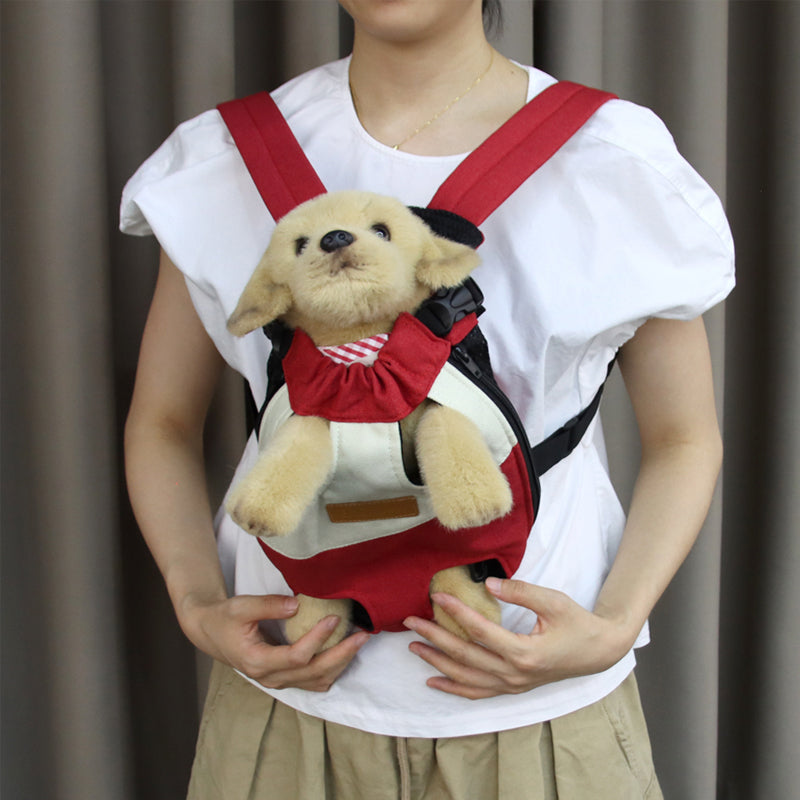 Hjemix | Pet Travel Leg-out Ryggsekk