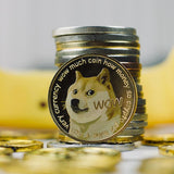 Hjemix | UV Farge Trykk Dogecoin Minnemynt