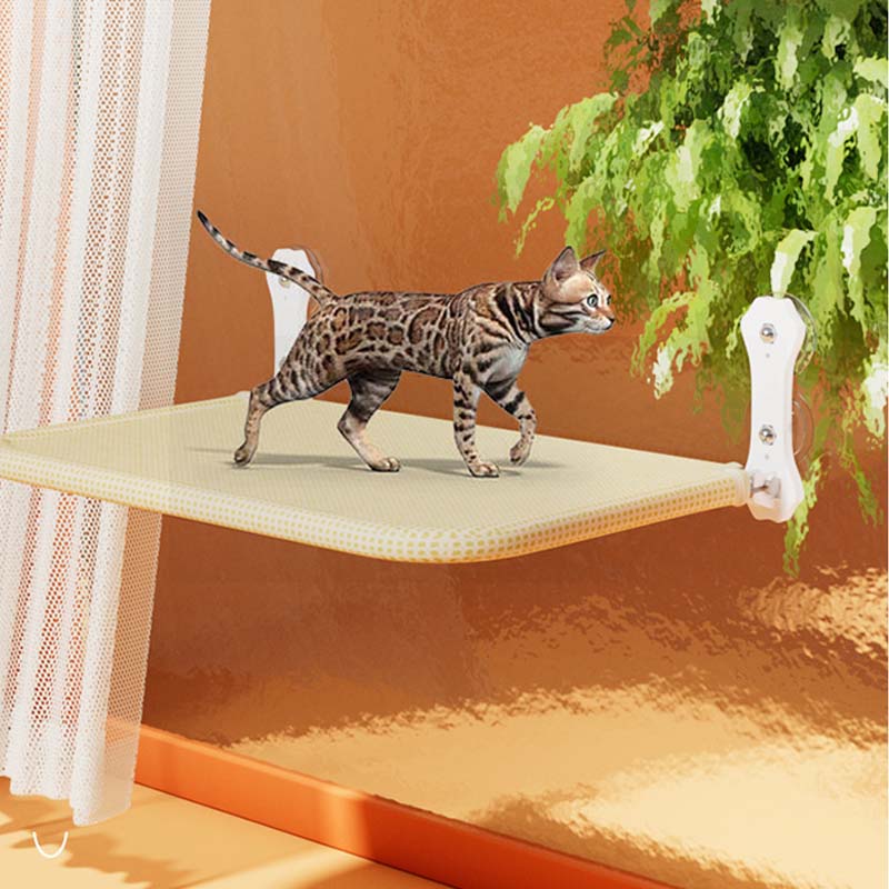 Hjemix | Sammenleggbar Katt Vindu S eng