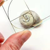 Hjemix | Gyldne Forholds Finner