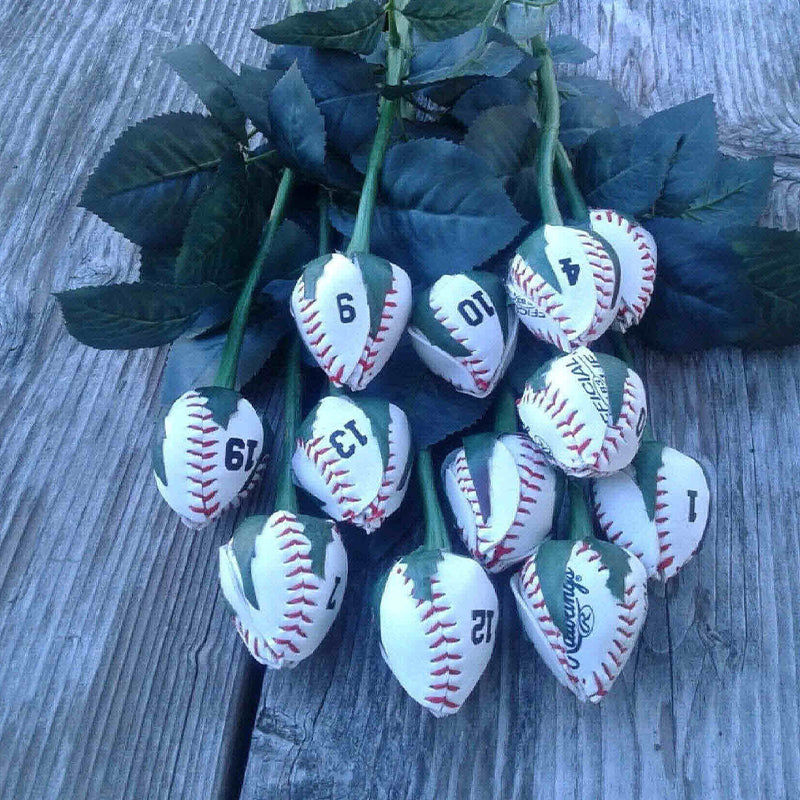 Hjemix | Sport Lærrose