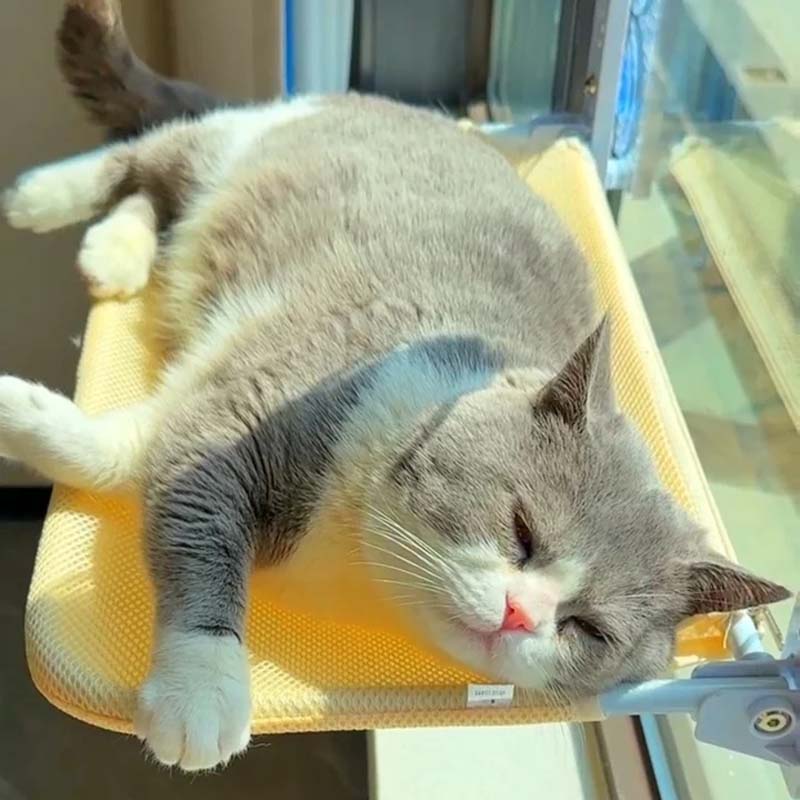 Hjemix | Sammenleggbar Katt Vindu S eng