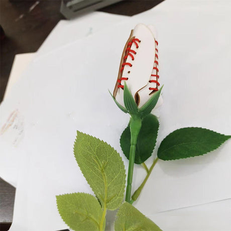 Hjemix | Sport Lærrose