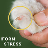 Hjemix | Uanstrengt kjæledyrneglklipper