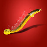 Hjemix | Nytt design Angler Dragon Hole Bait 46 seksjoner myk agn