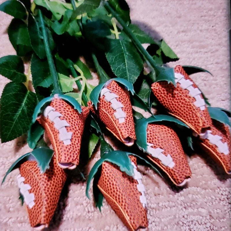 Hjemix | Sport Lærrose