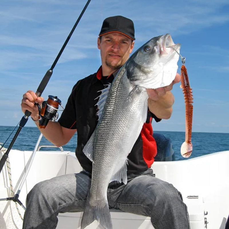 Hjemix | Nytt design Angler Dragon Hole Bait 46 seksjoner myk agn
