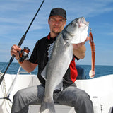 Hjemix | Nytt design Angler Dragon Hole Bait 46 seksjoner myk agn