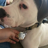 Hjemix | Morsom hundeskilt