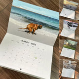 Hjemix | Pooping Pooches Hundekalender