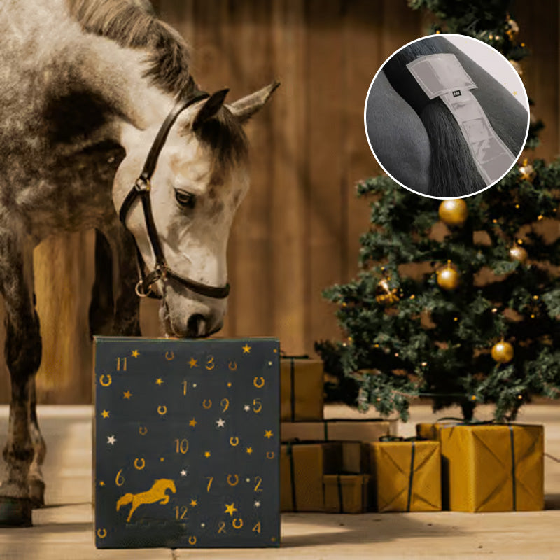 Hjemix | Hestefôr Adventskalender 2024