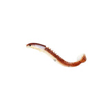 Hjemix | Nytt design Angler Dragon Hole Bait 46 seksjoner myk agn