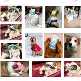 Hjemix | Utendørs solbeskyttelseshette for hunder