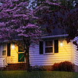 Hjemix | Sensor LED Solcelle Wolfram Lyspære Solcelledrevet