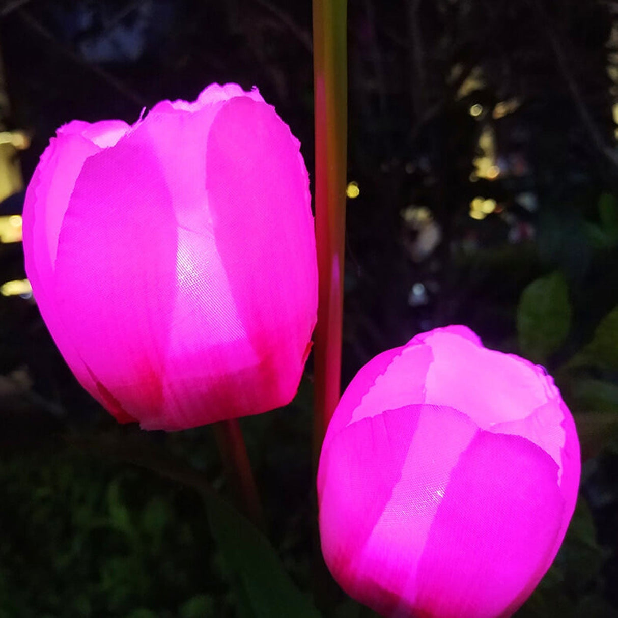 Hjemix | Solar Tulip Plenlys Utendørs Hage LED Tulipan Blomsterlys Bakke Stakelandskapslys