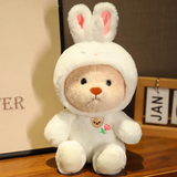 Hjemix | Bjørn | Din kosete følgesvenn