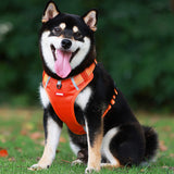 Hjemix | Reflekterende Hundesele
