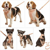 Hjemix | Adjustable Dog Vest Harness with 3 Leash Clips