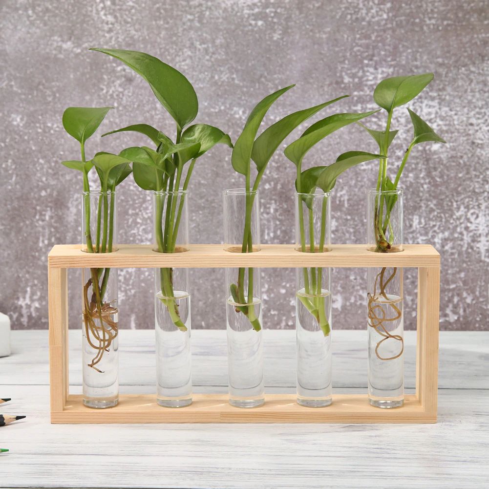 Hjemix | Test Tube Vase