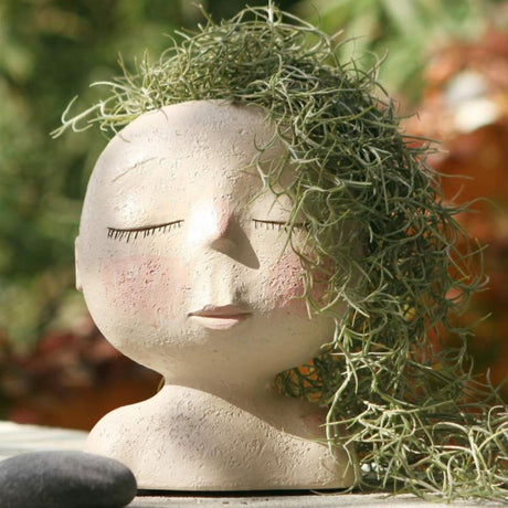 Hjemix | Søt Harpiks Kaktus Plantekasse