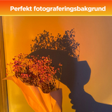 Hjemix | Projektor Gulvlampe