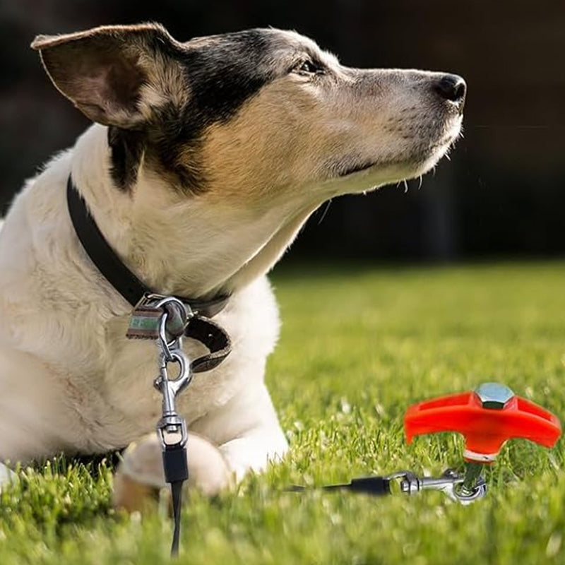 Hjemix | Luminous Carbon Steel Hexagonal Spiral Fluorescent Nail