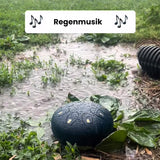 Hjemix | Regntromme som hageinstrument