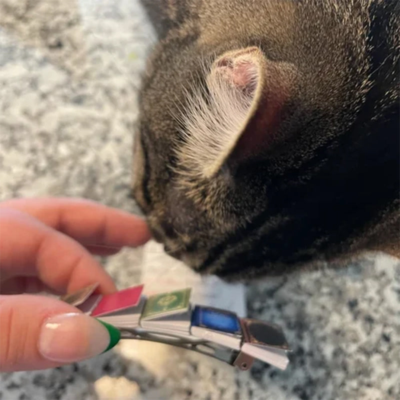 Hjemix | Miniatyrbok Hårnål Barrette