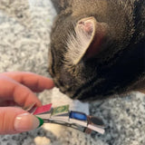 Hjemix | Miniatyrbok Hårnål Barrette