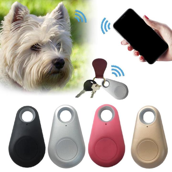Hjemix | PetTrack Mini Tracker for Pets | Vanntett | Lang Batterilevetid | Sanntidslokasjon
