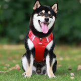 Hjemix | Reflekterende Hundesele