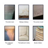 Hjemix | Mold Cleaner Foam