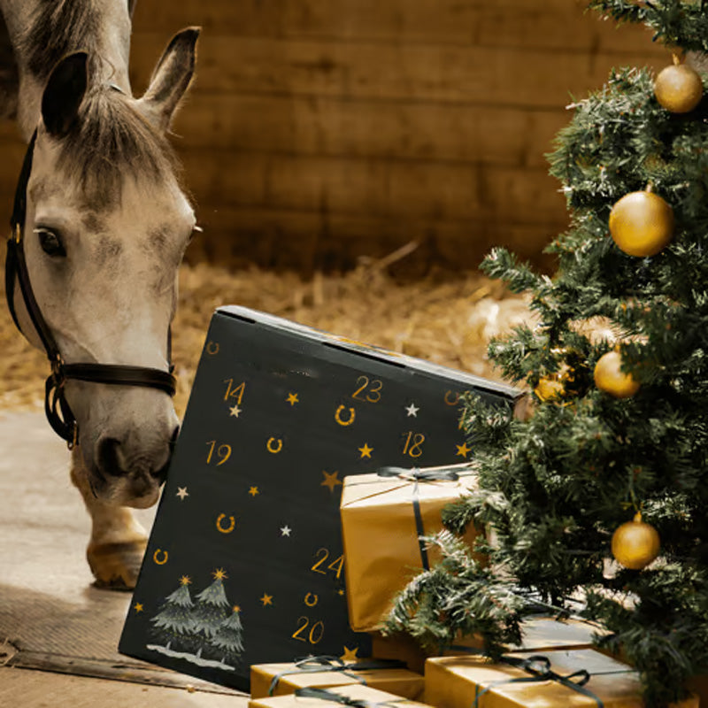 Hjemix | Hestefôr Adventskalender 2024