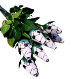 Hjemix | Sport Lærrose