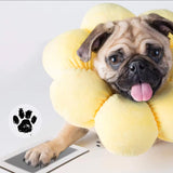 Hjemix | Dyrepote Trykk Sett