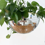 Hjemix | Disco Ball Hengende Plante