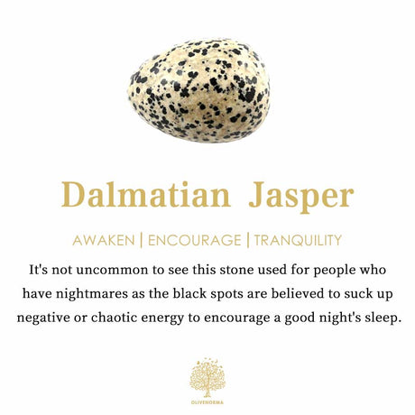 Hjemix | Frendorf 2.5 Tommers Krystall Dinosaur Hjemmedekorasjon Edelsteinsdekor