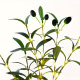 Hjemix | Belyst Oliventre LED Lampe – Moderne Dekor for Festlige Anledninger, Bryllup, Bursdager og Feststemning, Ideell for Spisebord, Skap eller Kafé Dekor