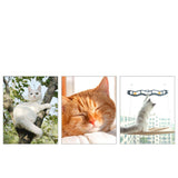 Hjemix | Hengekøye for Henging ved Vinduet for Katter