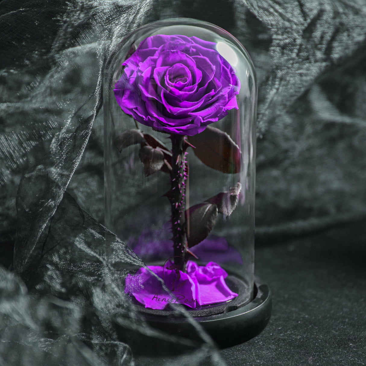 Hjemix | Forever Rose, Evig Rose i Glasskuppel, 3 Dagers Leveringstid, Blå