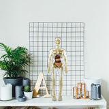 Hjemix | 3D menneskekropp torso-modell for barn anatomi modell skjelett
