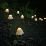 Hjemix | LED Solcelle Lyskjede Bakke Stake Sopplamper