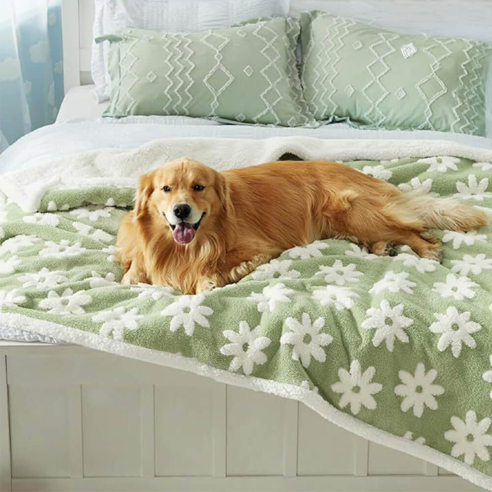 Hjemix | Flocket Vanntett Multi-Funksjonell Sherpa Hundeteppe
