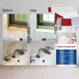 Hjemix | Mold Cleaner Foam