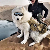 Hjemix | Utendørs beskyttelsesbriller for hunder