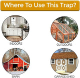 Hjemix | Flip Lokk Musefelle - Fang Mus På En Sikker Og Effektiv Måde (1+1 Gratis!)