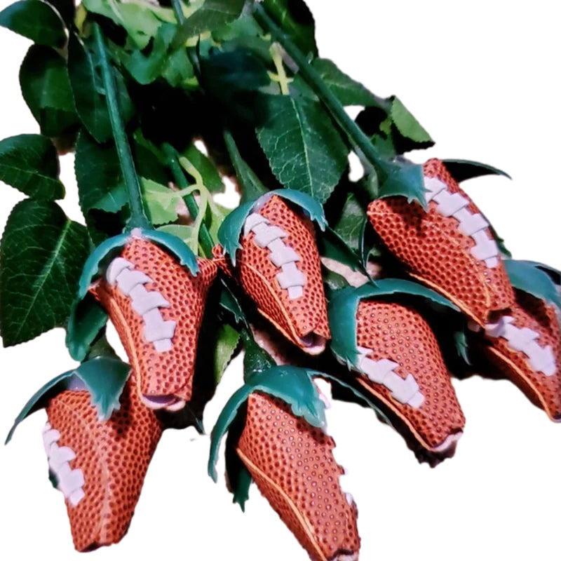 Hjemix | Sport Lærrose