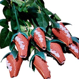 Hjemix | Sport Lærrose