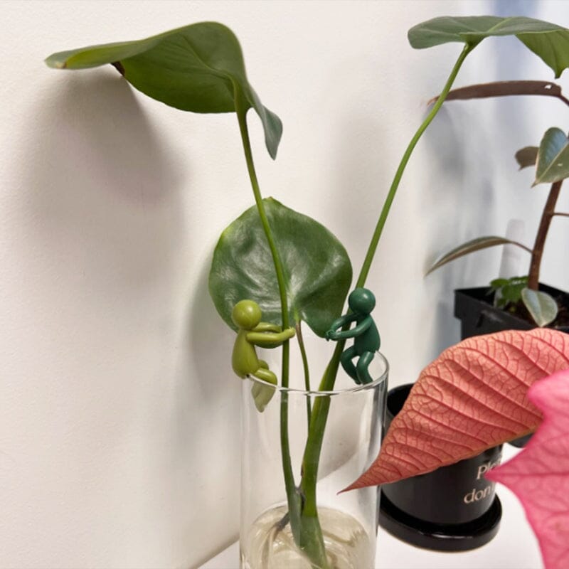 Hjemix | Planteformering Venn