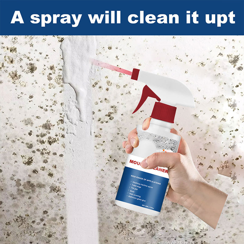 Hjemix | Mold Cleaner Foam
